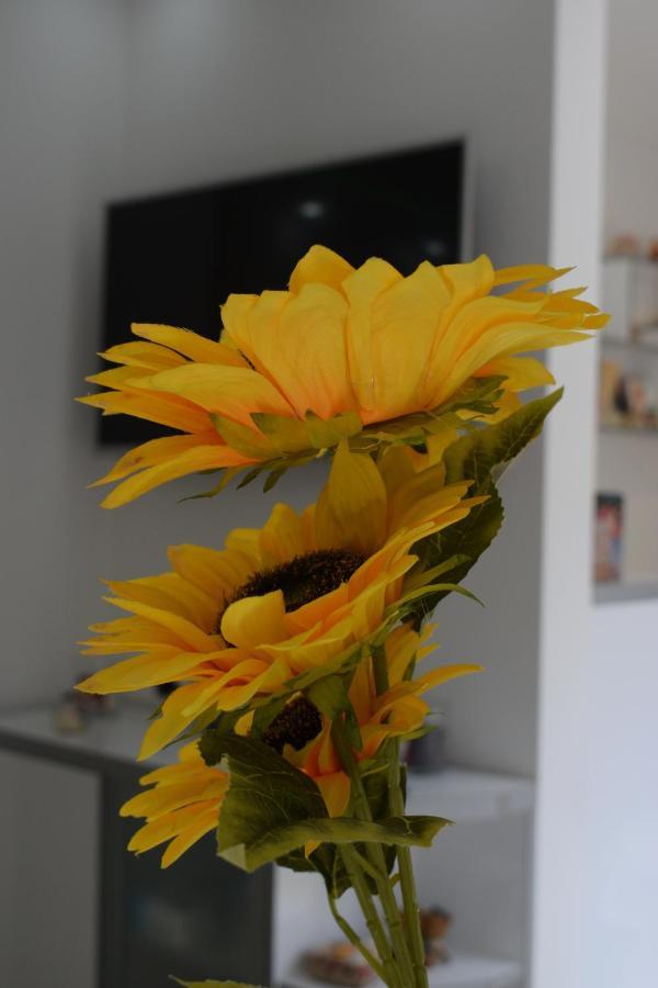 Apartmani K&V Veliko Gradište Extérieur photo