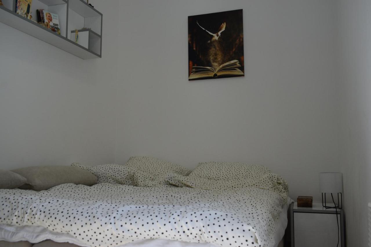 Apartmani K&V Veliko Gradište Extérieur photo