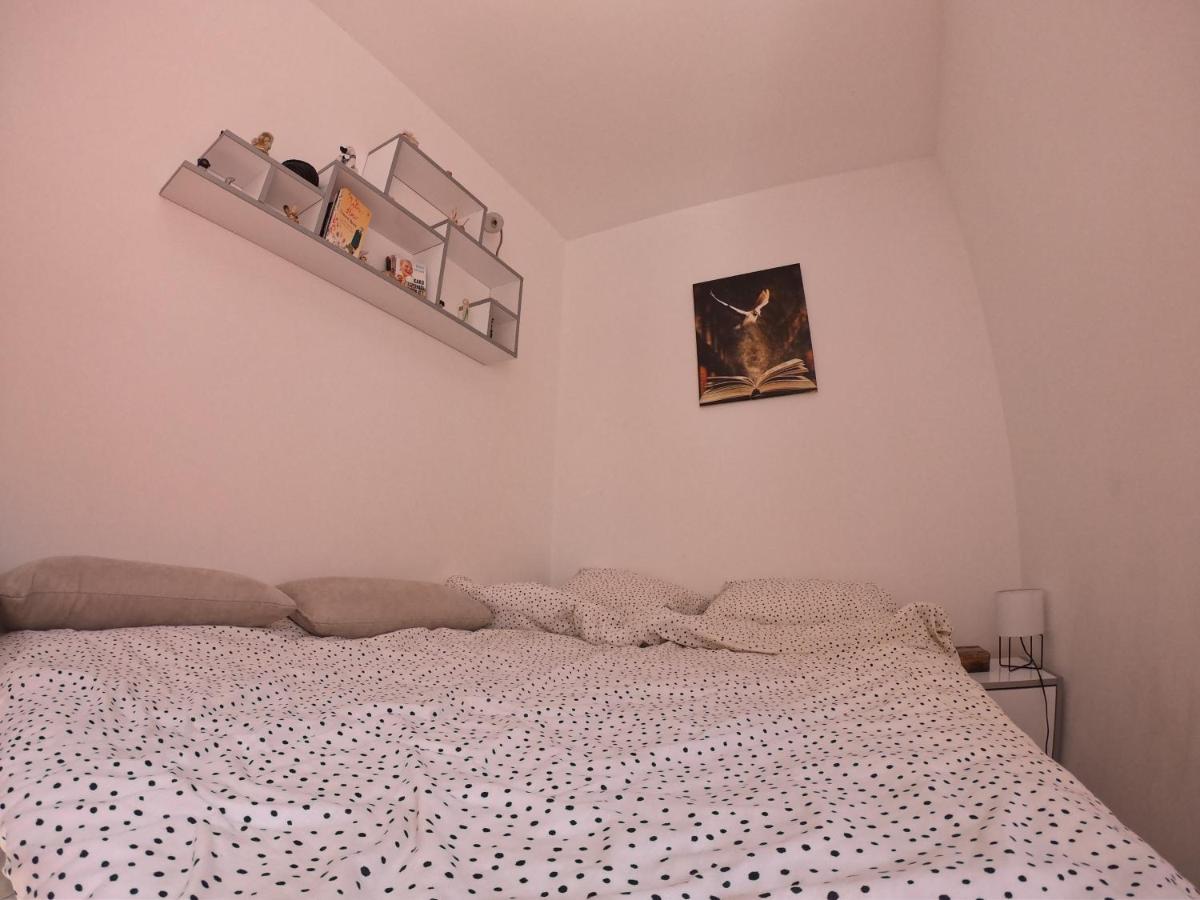 Apartmani K&V Veliko Gradište Extérieur photo